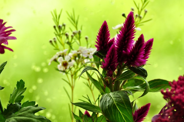 Lomnavresta prednosti